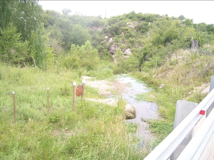 LAS CATITAS 4
